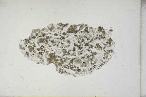 Plane Polarized, S14984