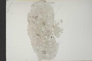 Plane Polarized, S14376