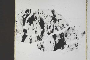 Plane Polarized, S46328