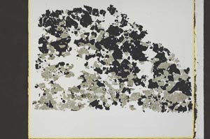 Plane Polarized, S47100