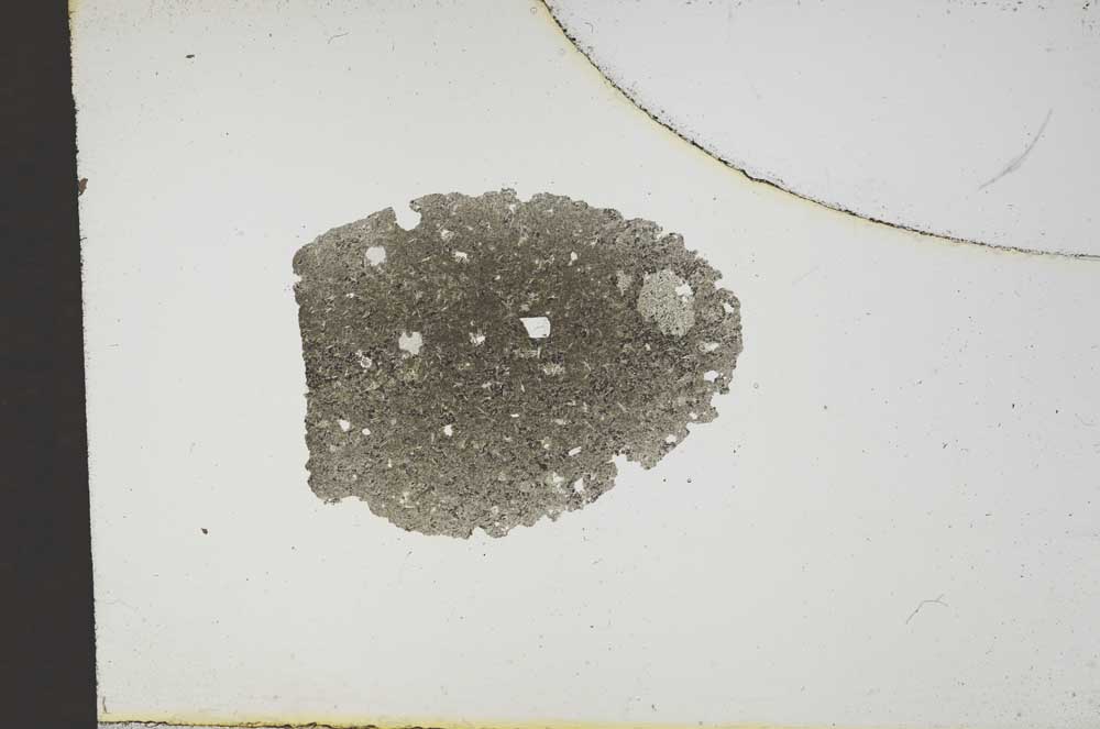 Plane Polarized, S14630