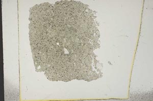 Plane Polarized, S14351