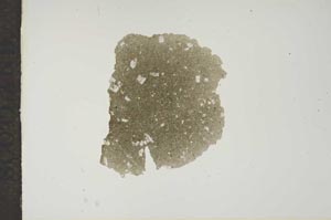 Plane Polarized, S14890