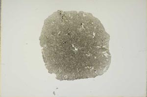 Plane Polarized, S14903