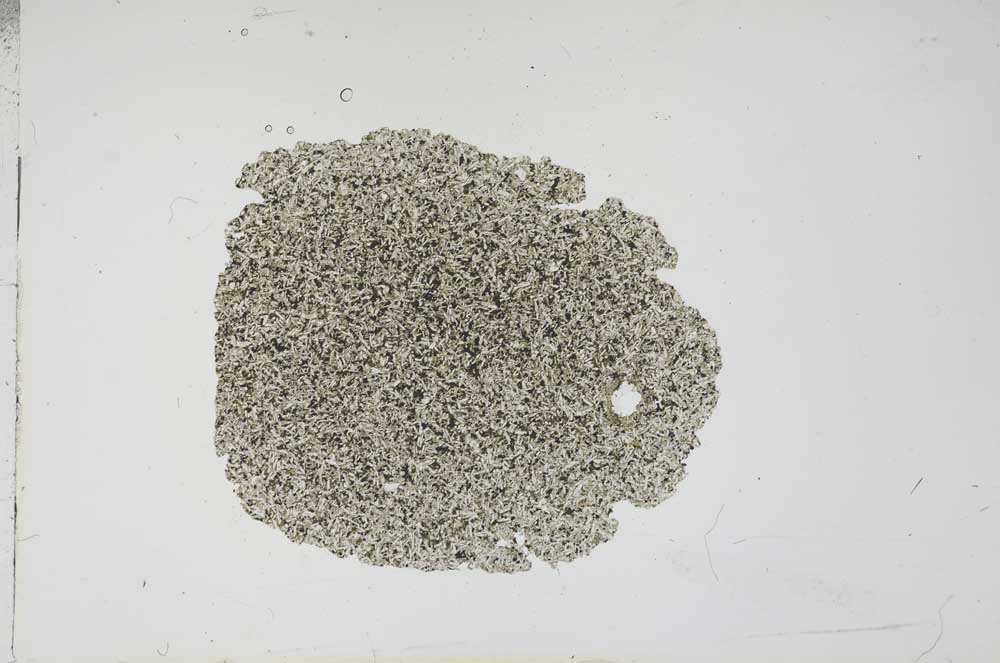 Plane Polarized, S16323