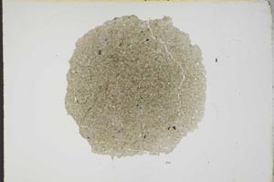 Plane Polarized, S14754