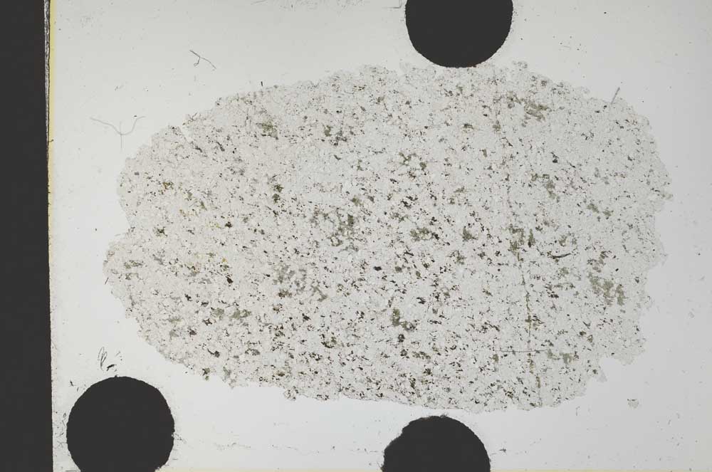 Plane Polarized, S31665/A