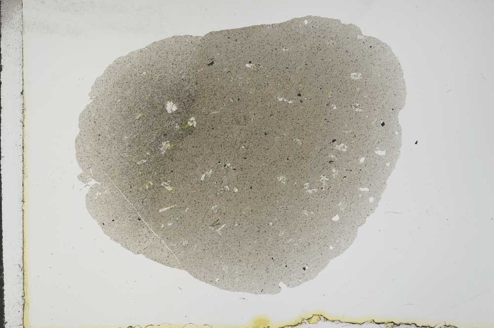 Plane Polarized, S16353