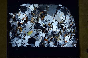 Cross Polarized, S47132