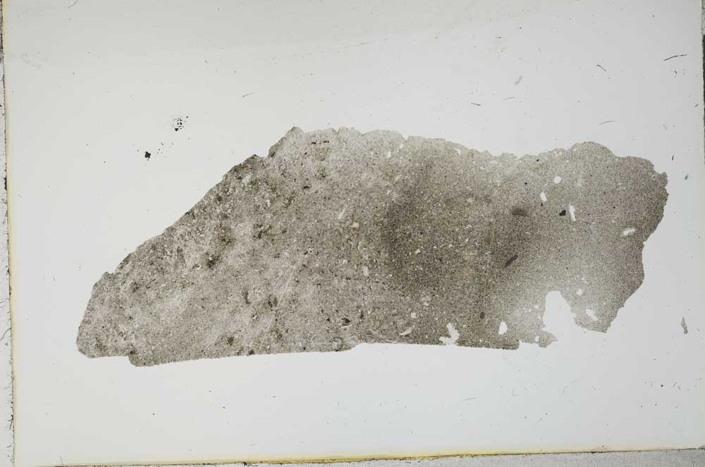 Plane Polarized, S17986