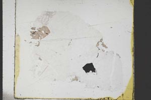 Plane Polarized, S47170