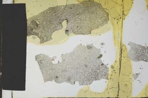 Plane Polarized, S21697