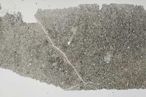 Plane Polarized, S53288