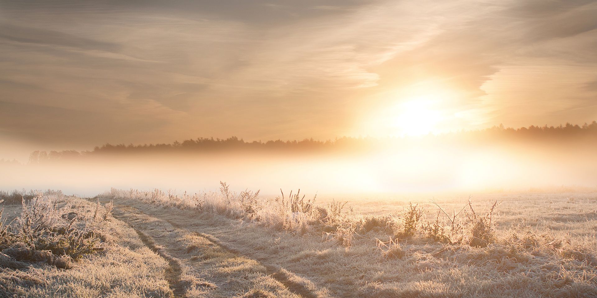 frost-covering-a-sunny-field