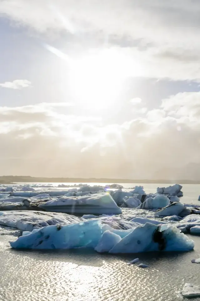 Sea Ice Loss