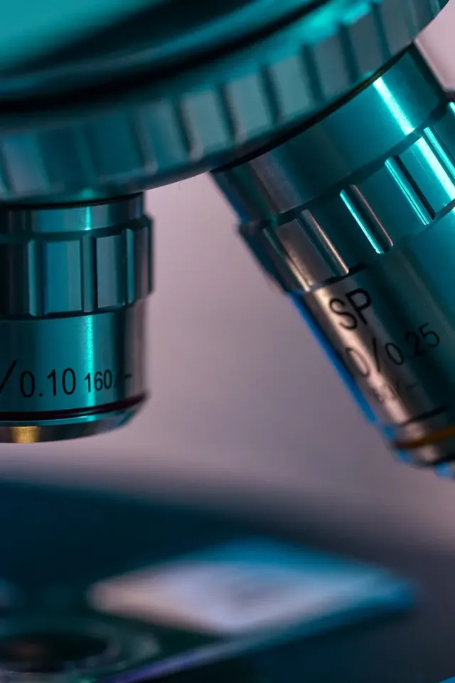Studying Samples