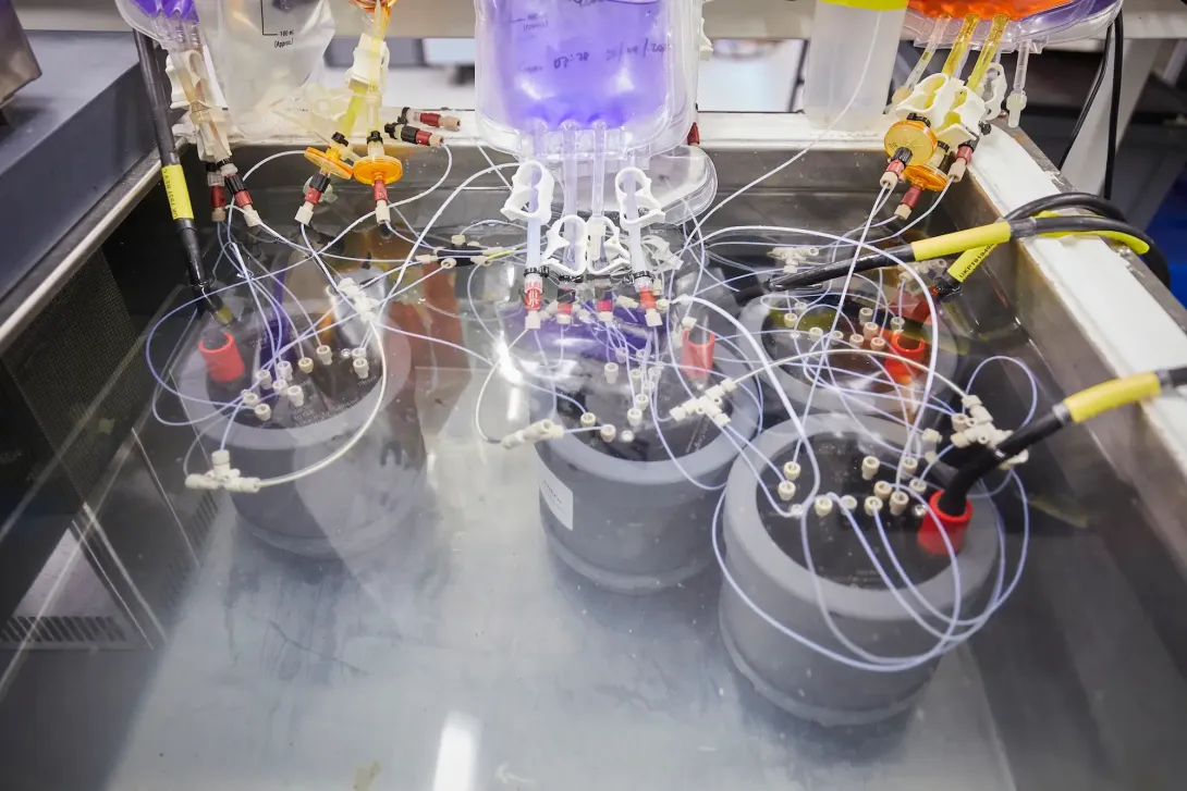 Chemical Sensors