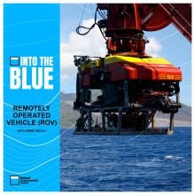 NOC's Remotely Operated Vehicle (ROV): Discovering the Secrets of the Seabed 