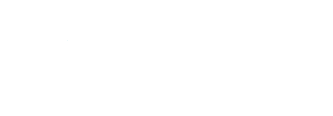 Broads Authority circular dragonfly logo