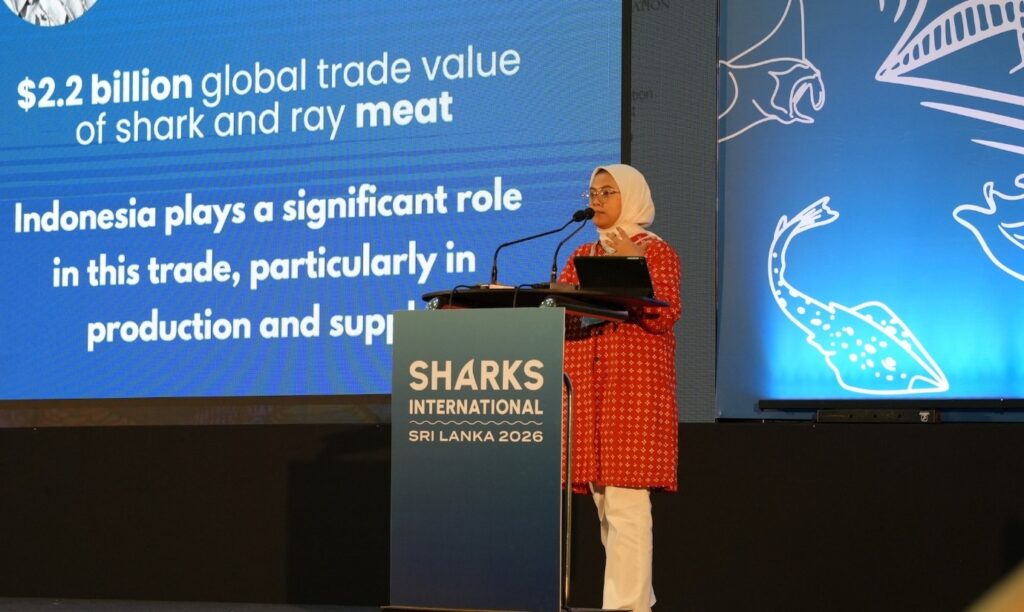 lady standing on stage talking, wearing red clothes with words on screen about sharks