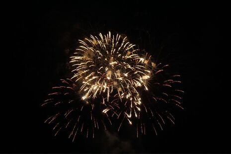 Image of fireworks bursting against a dark night sky, with bright streaks of light radiating outward.
