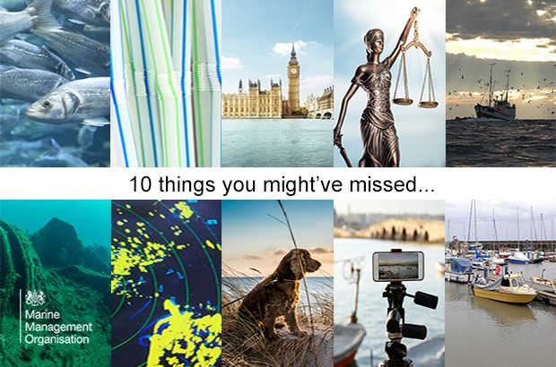 10 images of MMO blogs published during October.