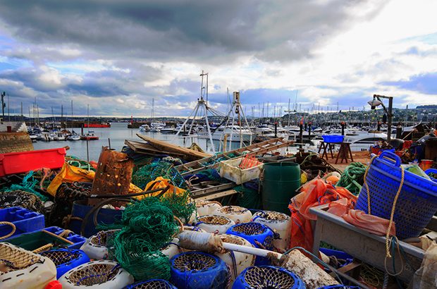 Torquay devon fishing