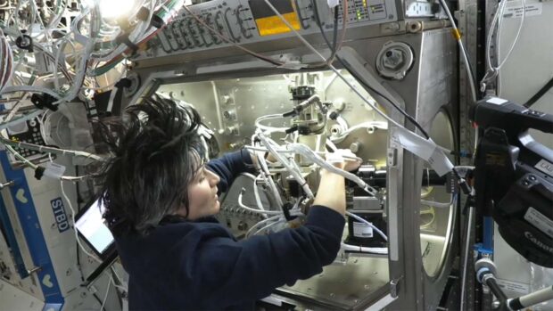 ESA astronaut Samantha Cristoforetti working on pharmaceutical research on the International Space Station. Credit: NASA