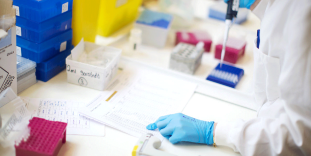 Researcher pointing at data in a laboratory