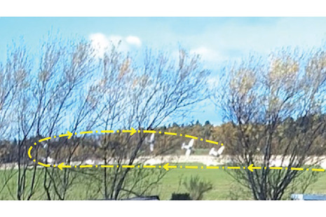 Image of composite CCTV image G-BODT, arrow shows flight direction