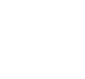 Logo for Petworth Society