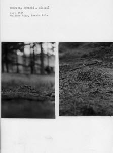 T12424 &copy; Tate Images | A Pile of Needles and Nails, Spring 1981, Orlick� Mountains, Pansk� Pole