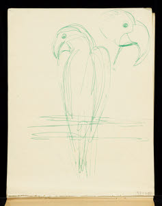MA5187 &copy; Tate Images | Lion Drawing Book. Study of a parrot