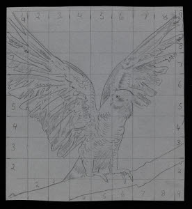 MD8240 &copy; Tate Images | Tracing of a parrot on a grid