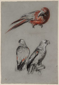 T09696 &copy; Tate Images | Three Parrots