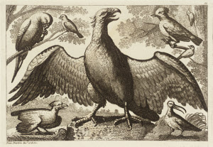 T11273 &copy; Tate Images | <i>from</i> Various Birds and Beasts Drawn from the Life, [title not known]