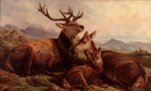 N01559 &copy; Tate Images | Morning with the Wild Red Deer