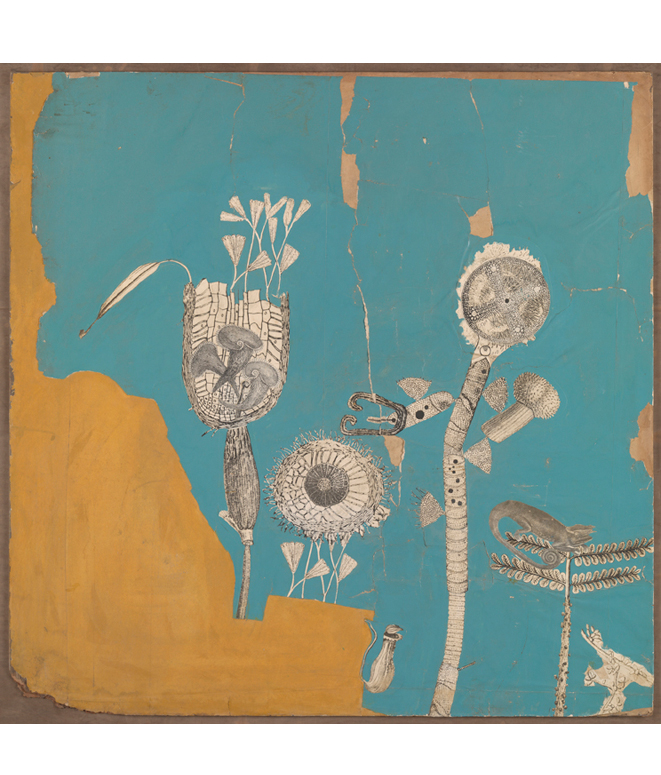 Collage for 'Patio and Pavilion' (the growth of plant forms). Nigel Henderson. &copy; Nigel Henderson Estate/Tate Images
