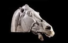 Marble sculpture of horses head from parthenon