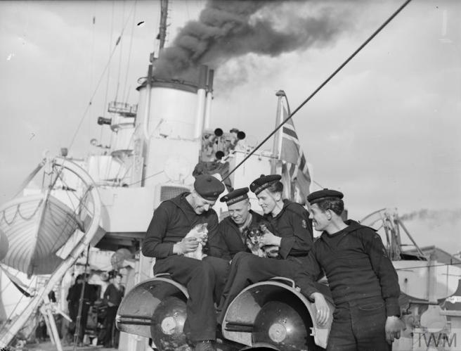 A group of four Norwegian sailors on board ship making a fuss of a cat and dog. Behind them the ship's funnel blows smoke and the Norwegian flag flies.