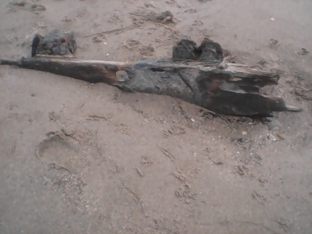 Photograph of horizontal ship's timber against a backdrop of lighter-coloured sand.