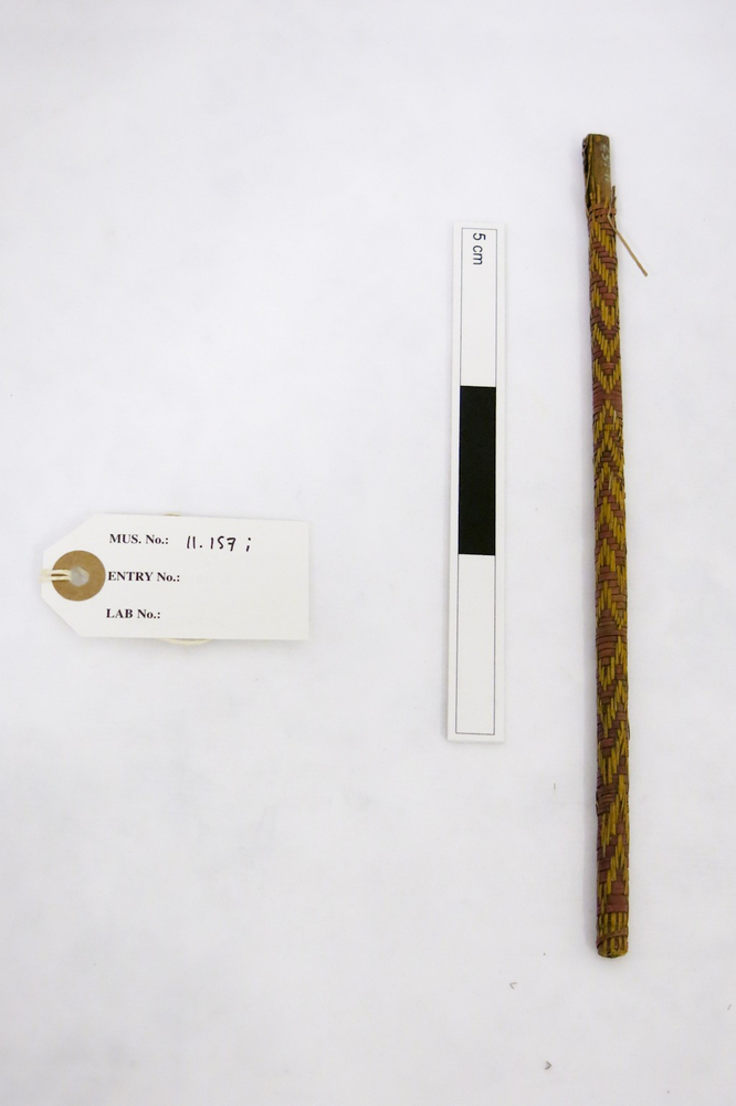 Image of ear stick