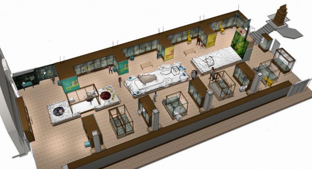 A 3D graphic of the proposed new gallery from above