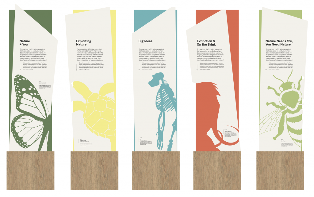 An example of the labels and graphics in the new Natural History Gallery