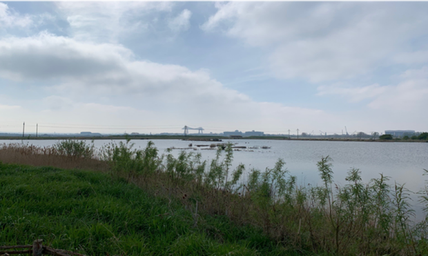 Image shows a view of the Tees, looking out across the water. There is a grassy bank in the foreground, and buildings and machinery in the distance.