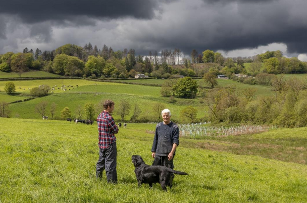 Axe Landscape with two men in foreground with dog