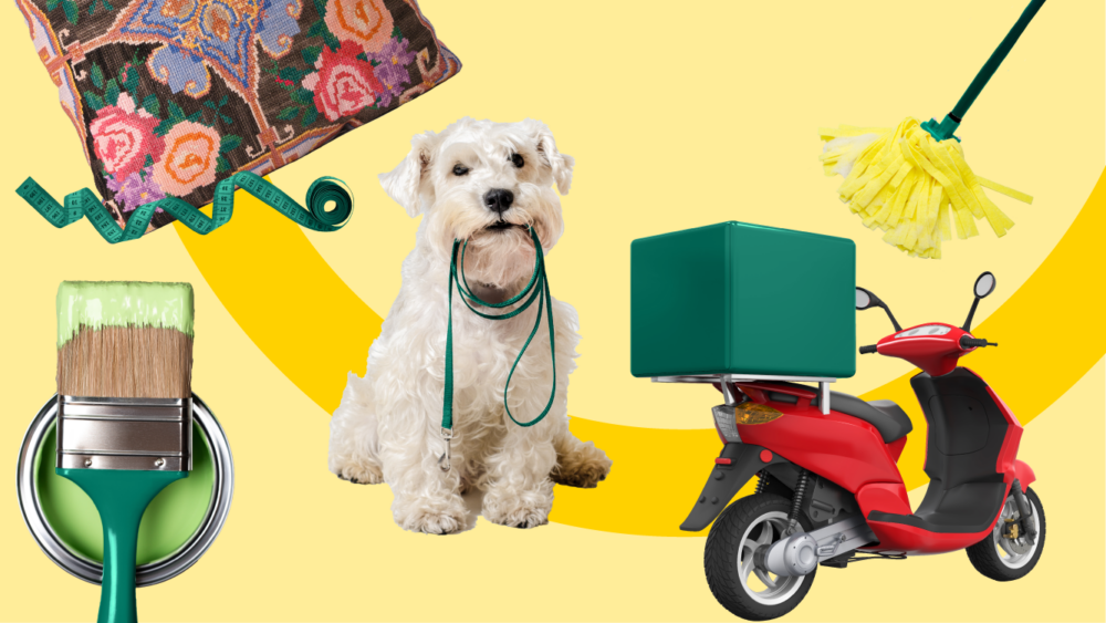 A dog, a cushion, a mop, a moped and a paintbrush next to the title