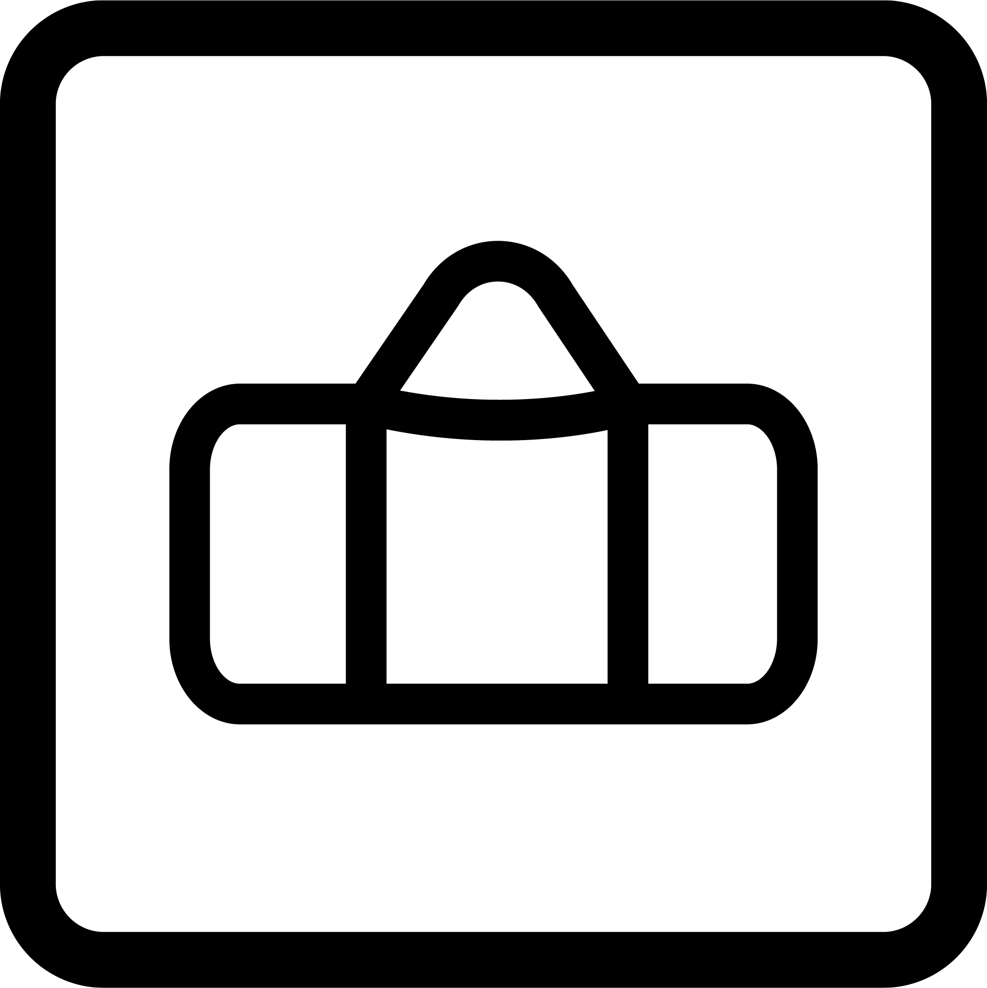 Carry holdall