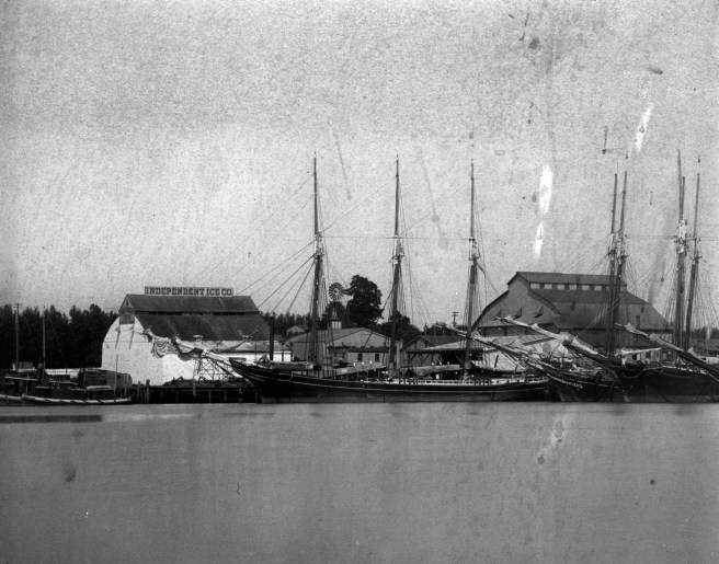 Black and white photograph of ships with masts and furled sails in harbour. three vessels are discernible in the lower centre of the photograph, with their masts standing talll against the roofs of two buildings, with a grey sky over.