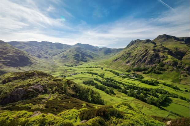 Green Landscape beneath blue sky